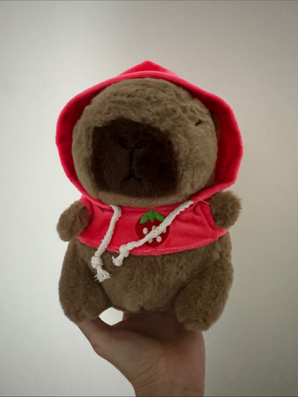 Capybara Plush Toy in Pink Hooded Sweater 22 cm